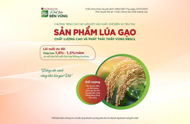 Tín dụng ưu đãi phục vụ Đề án 1 triệu hecta lúa chất lượng cao, phát thải thấp vùng ĐBSCL- Ảnh 1.