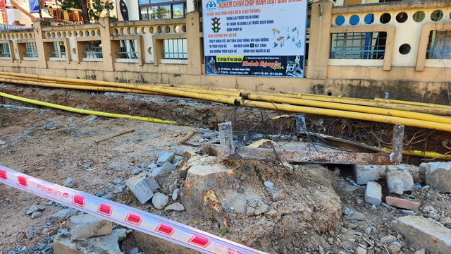 Hàng trăm cây xanh sẽ bị đốn hạ, di dời để cải tạo vỉa hè?- Ảnh 4. Hàng trăm cây xanh sẽ bị đốn hạ, di dời để cải tạo vỉa hè?- Ảnh 4.