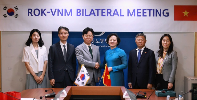 Việt Nam - Hàn Quốc mở rộng tiếp nhận lao động- Ảnh 3. Việt Nam - Hàn Quốc mở rộng tiếp nhận lao động- Ảnh 3.