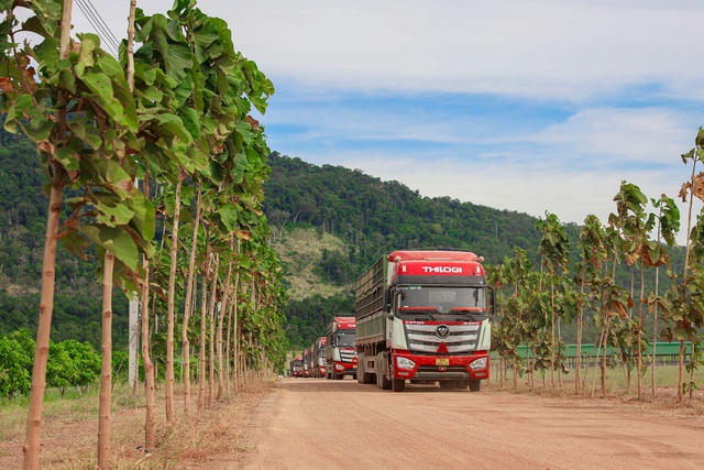 THILOGI tăng cường mở tuyến, kết nối hàng hóa từ Lào ra thị trường quốc tế- Ảnh 2.