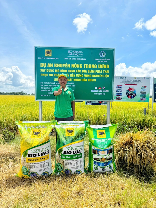 Đầu Trâu Bio-Canxi: Một giải pháp phân bón mới cho canh tác lúa gạo bền vững và giảm phát thải- Ảnh 1.