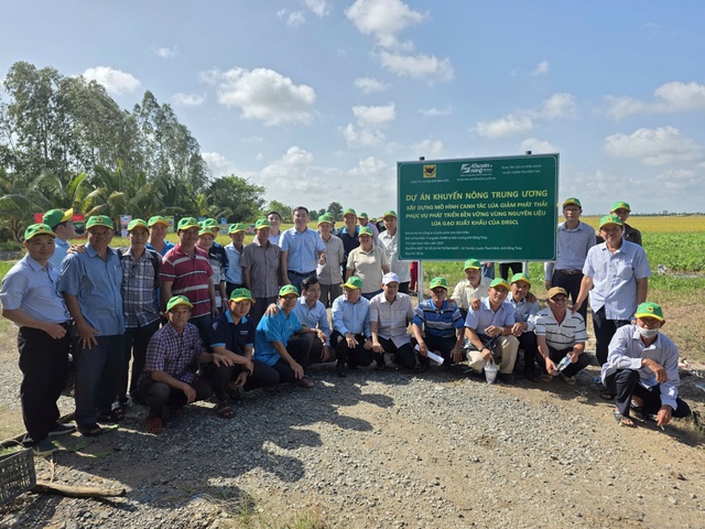 Đầu Trâu Bio-Canxi: Một giải pháp phân bón mới cho canh tác lúa gạo bền vững và giảm phát thải- Ảnh 5.