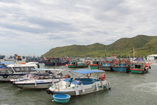 Thu phí tham quan Vịnh Nha Trang cao nhất 40 ngàn đồng/người - Ảnh 1.