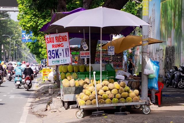 VIDEO: Thực hư sầu riêng giá 35.000 đồng/ký tại TP HCM - Ảnh 3.