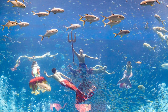 Trọn bộ trải nghiệm độc nhất biến Phú Quốc trở thành điểm đến nhất định phải thử mùa hè này- Ảnh 1. Trọn bộ trải nghiệm độc nhất biến Phú Quốc trở thành điểm đến nhất định phải thử mùa hè này- Ảnh 1.