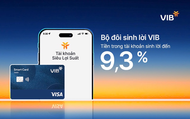 Bộ đôi Sinh Lời VIB - Giải pháp tài chính tối ưu dòng tiền đến 9,3%- Ảnh 1.