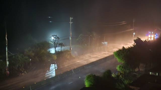 Bão số 10 (Bualoi): Gió quần thảo dữ dội, cây xanh thi nhau ngã đổ ở miền Trung - Ảnh 3.