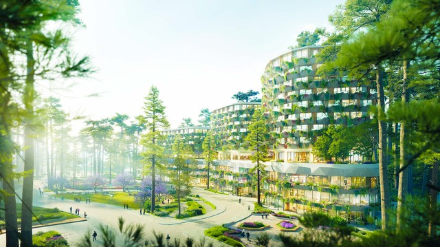 Dịch vụ vận hành cho tỉ phú thế giới có mặt tại Việt Nam- Ảnh 2.