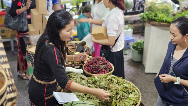 Tropenbos Việt Nam kết nối sinh kế bền vững gắn với bảo tồn rừng- Ảnh 4.