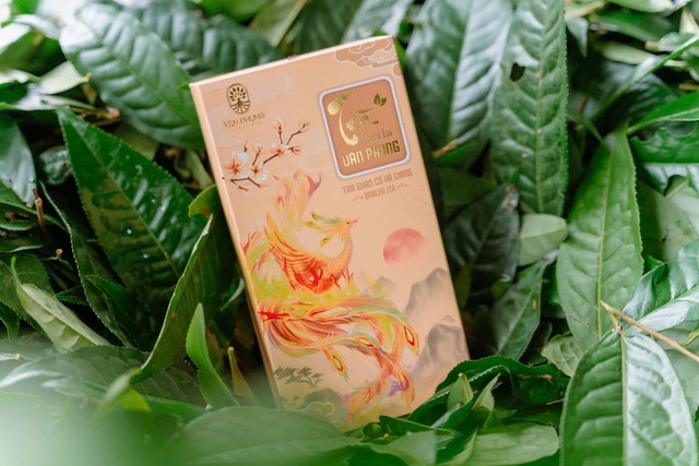 Trà Bancha Vân Phụng: Dòng trà tinh tế giữ trọn vẹn tinh hoa đất trời- Ảnh 4. Trà Bancha Vân Phụng: Dòng trà tinh tế giữ trọn vẹn tinh hoa đất trời- Ảnh 4.