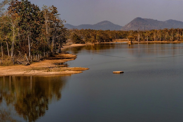 Mê mẩn với rừng khộp lớn nhất Việt Nam vào mùa thay lá - Ảnh 7.