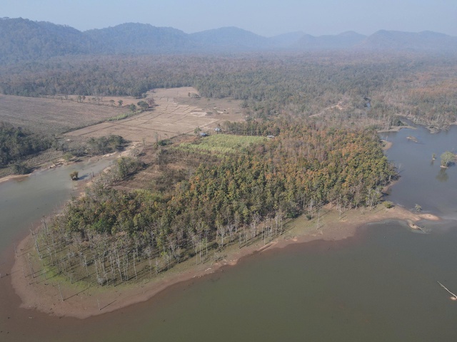 Mê mẩn với rừng khộp lớn nhất Việt Nam vào mùa thay lá - Ảnh 6.