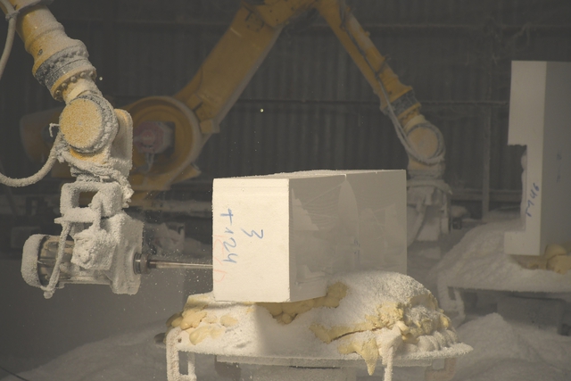 Linh vật ngựa độc đáo cho Tết Bính Ngọ 2026 tại Đồng Nai và TPHCM - Ảnh 9. Linh vật ngựa độc đáo cho Tết Bính Ngọ 2026 tại Đồng Nai và TPHCM - Ảnh 9.