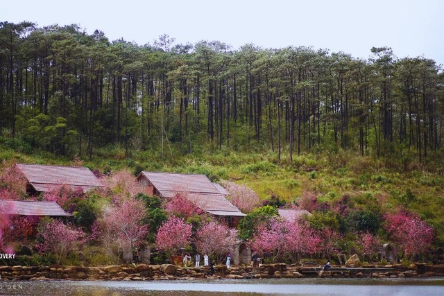 Golden Sun Hotel – Mangden: Điểm nghỉ dưỡng lý tưởng giữa đại ngàn - Ảnh 2.