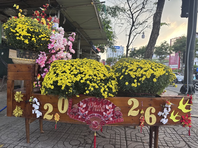 Cúc mâm xôi Tết 2023: Giá cả và sự đa dạng tại TP HCM - Ảnh 8. Cúc mâm xôi Tết 2023: Giá cả và sự đa dạng tại TP HCM - Ảnh 8.