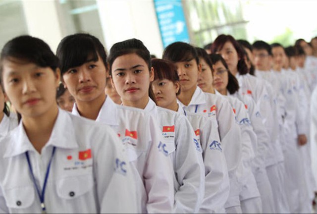 Tỉ lệ thất nghiệp thấp, nhưng giới trẻ chưa dễ tìm việc - Ảnh 3.