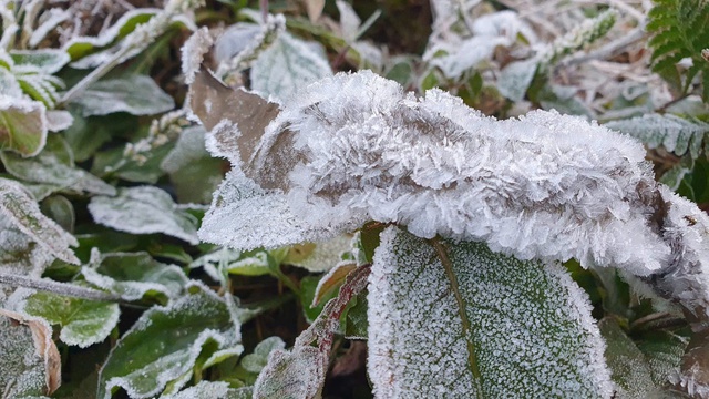 VIDEO: Băng gi&aacute; xuất hiện tại một tỉnh miền Trung khi nhiệt độ xuống &acirc;m 5 độ C - Ảnh 1.