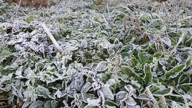 VIDEO: Băng gi&aacute; xuất hiện tại một tỉnh miền Trung khi nhiệt độ xuống &acirc;m 5 độ C - Ảnh 2.