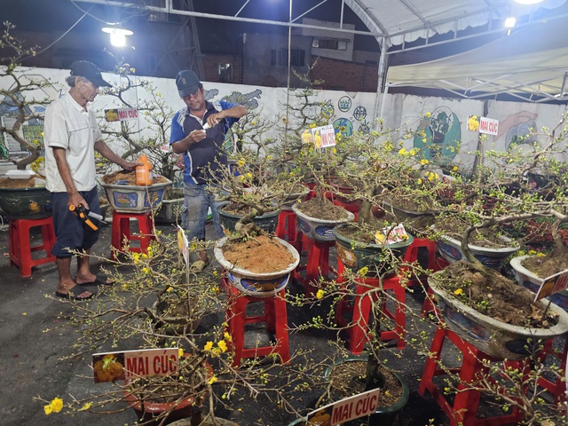 Thị trường hoa Tết 2026: Những lọai hoa đang &ldquo; ch&aacute;y h&agrave;ng &rdquo; v&agrave; gi&aacute; cả hấp dẫn - Ảnh 5.