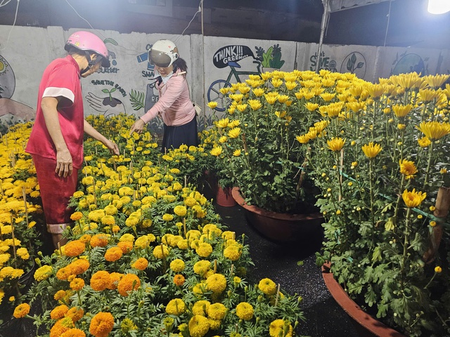 Thị trường hoa Tết 2026: Những lọai hoa đang &ldquo; ch&aacute;y h&agrave;ng &rdquo; v&agrave; gi&aacute; cả hấp dẫn - Ảnh 2.