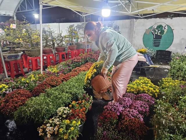 Thị trường hoa Tết 2026: Những lọai hoa đang &ldquo; ch&aacute;y h&agrave;ng &rdquo; v&agrave; gi&aacute; cả hấp dẫn - Ảnh 1.