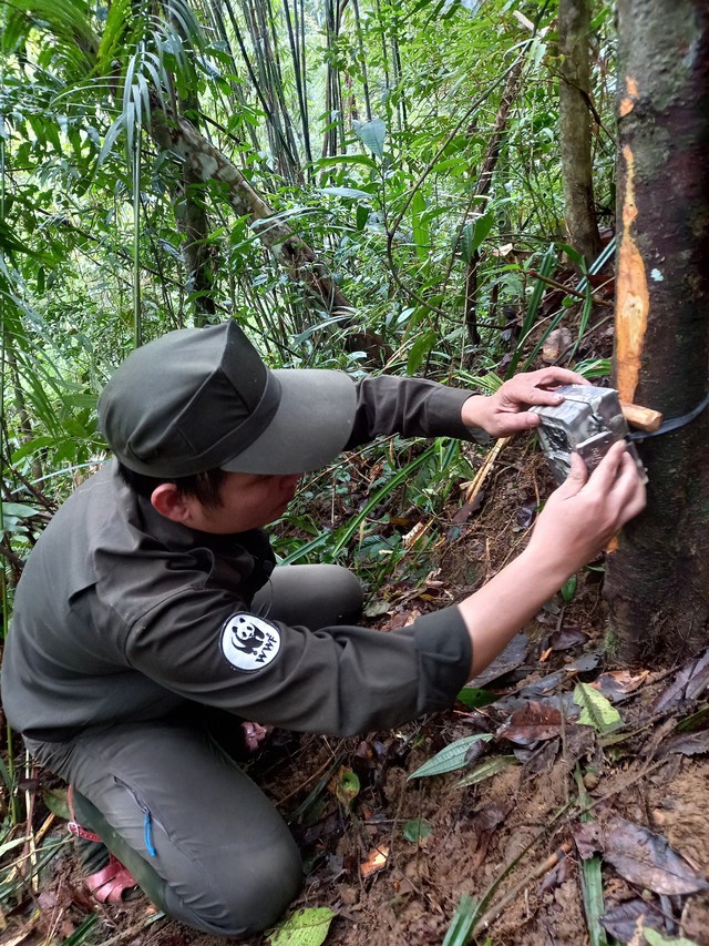 B&iacute; ẩn l&ograve;ai kỳ l&acirc;n Ch&acirc;u &Aacute; v&agrave; h&agrave;nh tr&igrave;nh t&igrave;m kiếm sao la - Ảnh 5.