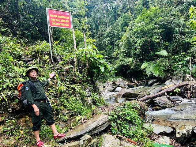 B&iacute; ẩn l&ograve;ai kỳ l&acirc;n Ch&acirc;u &Aacute; v&agrave; h&agrave;nh tr&igrave;nh t&igrave;m kiếm sao la - Ảnh 14.