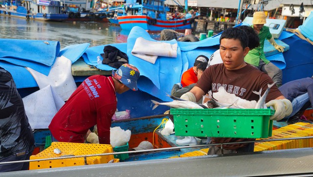 Phó Chủ tịch UBND TPHCM Hoàng Nguyên Dinh kiểm tra cảng cá để ngăn khai thác IUU - Ảnh 1. Phó Chủ tịch UBND TPHCM Hoàng Nguyên Dinh kiểm tra cảng cá để ngăn khai thác IUU - Ảnh 1.