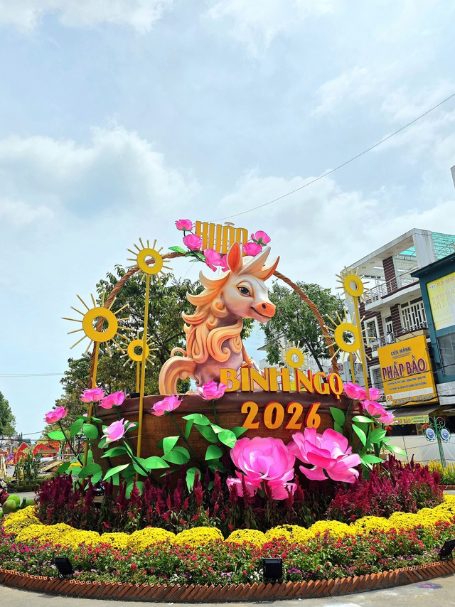 Người dân thích thú check-in tại đường hoa nghệ thuật Cần Thơ trong đêm khai mạc - Ảnh 7.