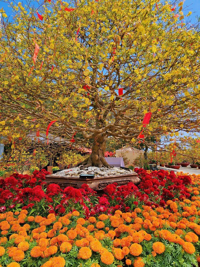 Một ngày du xuân Cần Giờ, trọn niềm vui cho cả gia đình, vẹn ký ức cho nhiều mùa Tết - Ảnh 4.