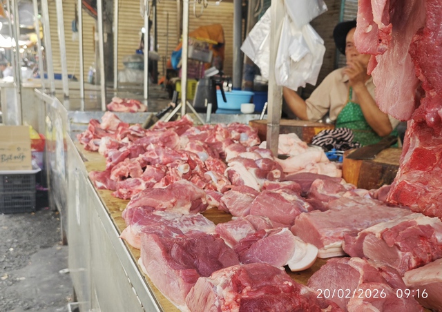 M&ugrave;ng 4 Tết 2026: Gi&aacute; tr&aacute;i c&acirc;y c&uacute;ng cao , dưa hấu chỉ 10 . 000 Đồng / kg - Ảnh 3.