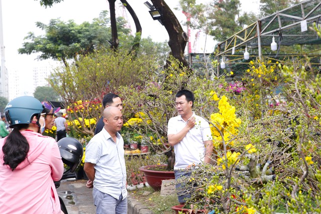 Hội hoa xuân Phú Mỹ Hưng đón hơn 950.000 lượt khách tham quan trong Tết Bính Ngọ 2026 - Ảnh 3.