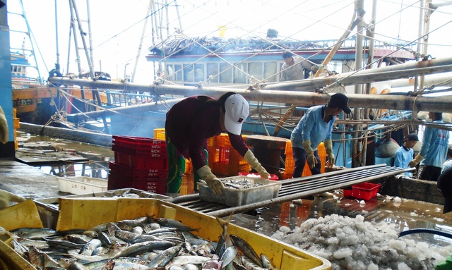Lâm Đồng kiểm soát chặt 100% tàu cá ra vào cảng - Ảnh 1.