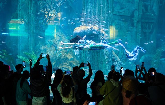 Hòn Tre bùng nổ mùa Tết với bộ ba siêu phẩm giải trí chưa từng có - Ảnh 2.