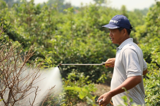 Một địa phương tại TPHCM &ldquo;l&ecirc;n s&oacute;ng&rdquo; b&aacute;n mai v&agrave;ng hỗ trợ n&ocirc;ng d&acirc;n - Ảnh 11.