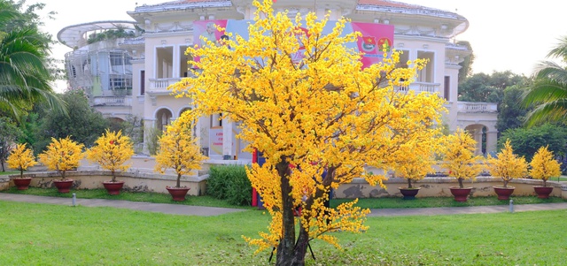 Tái hiện Tết quê xưa qua lễ hội "Ngày Tết quê em" - Ảnh 1.