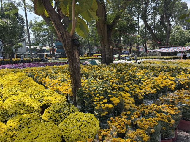 Kh&ocirc;ng kh&iacute; chợ hoa Tết ở TPHCM s&ocirc;i động trước ng&agrave;y khai trương 2026 - Ảnh 3.