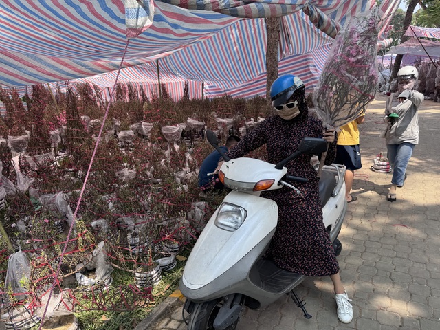 Kh&ocirc;ng kh&iacute; chợ hoa Tết ở TPHCM s&ocirc;i động trước ng&agrave;y khai trương 2026 - Ảnh 11.