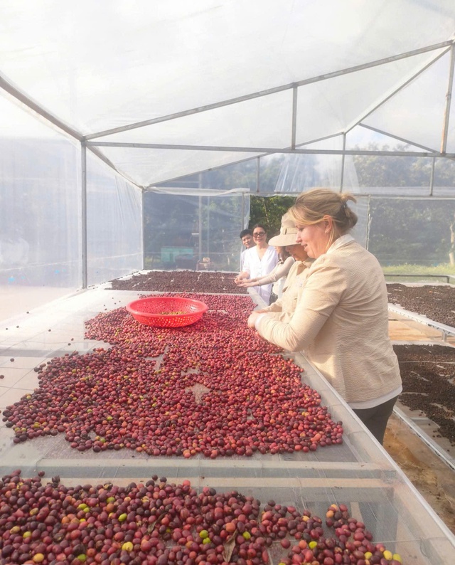 Hương c&agrave; ph&ecirc; trong nh&agrave; d&agrave;i &Ecirc; đ&ecirc; - Ảnh 5.