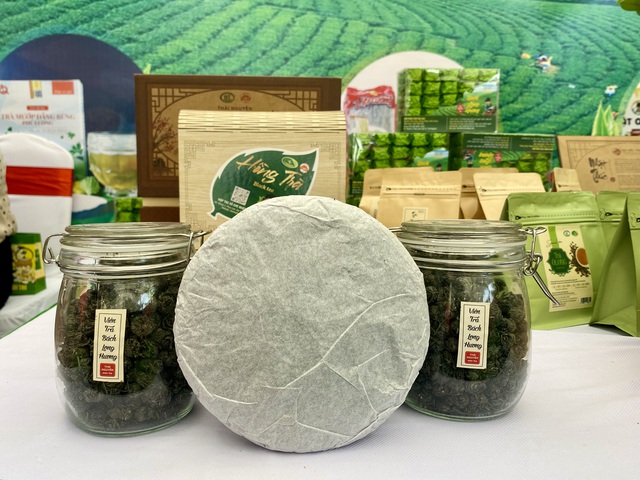 Những mùa hương trên vai núi - Ảnh 4.