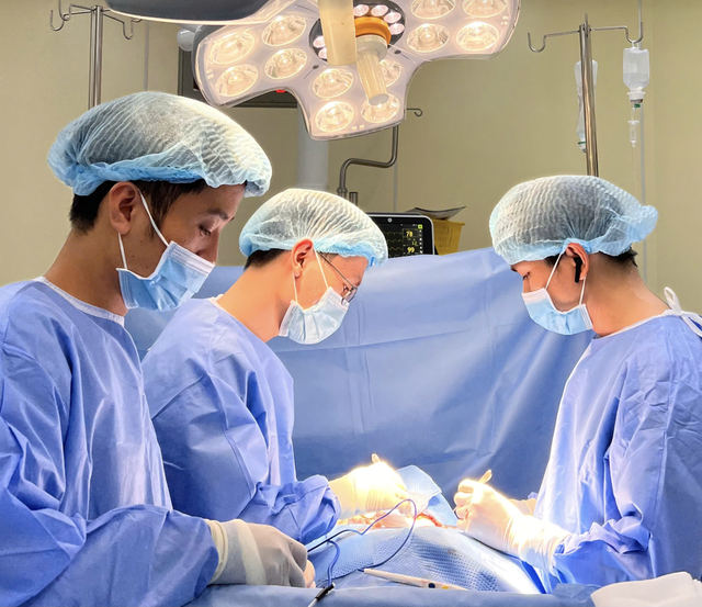 TPHCM: Ung thư vú tăng 70% trong 20 năm, nhiều ca vẫn phát hiện muộn - Ảnh 1.