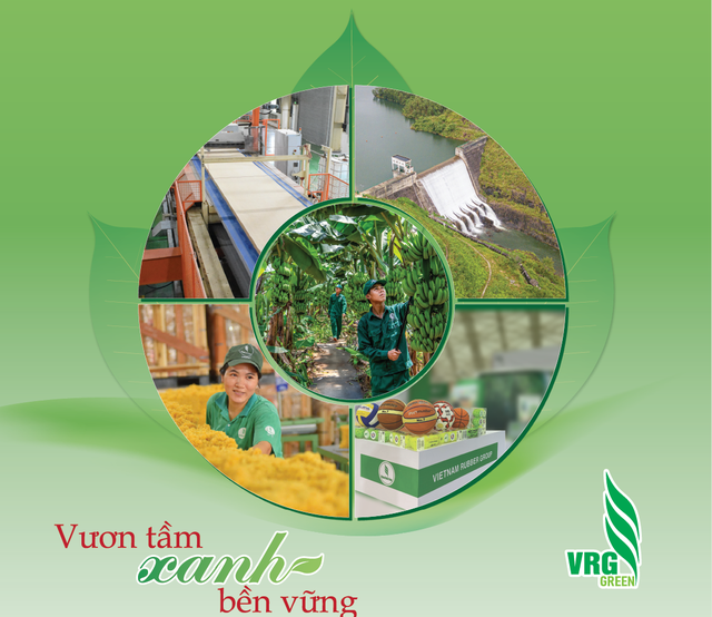 Tinh gọn bộ m&aacute;y VRG 2026: Đổi mới v&agrave; n&acirc;ng cao hiệu quả ph&aacute;t triển kinh tế - Ảnh 4.