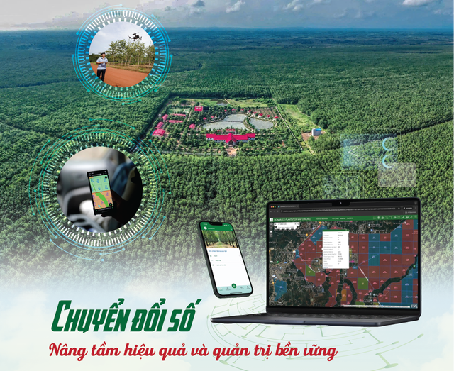 Tinh gọn bộ m&aacute;y VRG 2026: Đổi mới v&agrave; n&acirc;ng cao hiệu quả ph&aacute;t triển kinh tế - Ảnh 5.