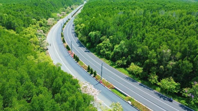 Sống như nghỉ dưỡng với “view rừng, hướng biển” - Giấc mơ của các runner tại đô thị mới phía Nam   - Ảnh 1.