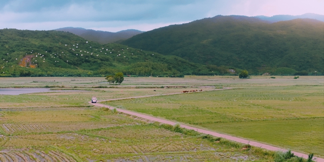 Phim có "nàng hậu" Đoàn Thiên Ân và mỹ nam Khương Lê hút khán giả - Ảnh 3.