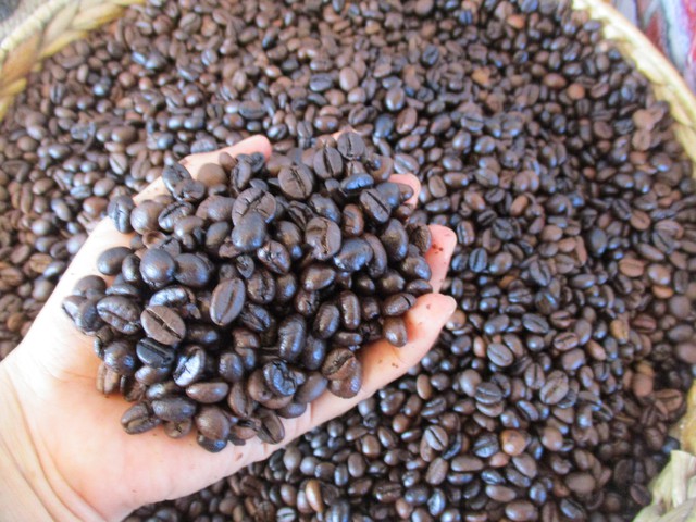 Gi&aacute; c&agrave; ph&ecirc; h&ocirc;m nay 6-3: Tăng tiếp, gi&aacute; c&agrave; ph&ecirc; xuất khẩu vẫn hơn 4.000 USD/tấn - Ảnh 2.