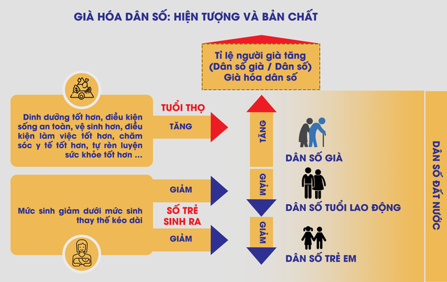 Dân số và bài toán nguồn nhân lực quốc gia (*): Những con số mang theo lời cảnh báo - Ảnh 2.