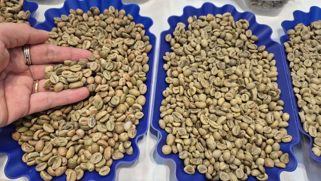 Giá cà phê hôm nay 21-4: Robusta bật tăng 3 con số - Ảnh 1.
