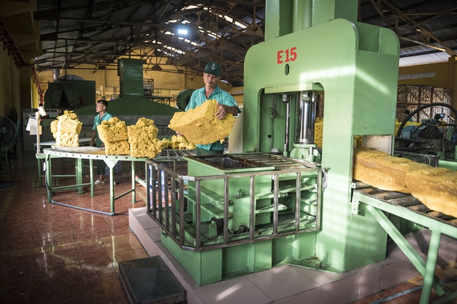 VRG quyết liệt thực hiện Nghị quyết 79 về ph&aacute;t triển kinh tế Nh&agrave; nước năm 2026 - Ảnh 1.