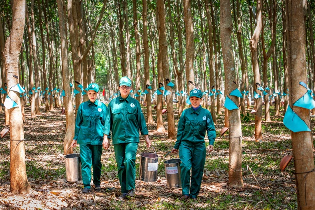 VRG quyết liệt thực hiện Nghị quyết 79 về ph&aacute;t triển kinh tế Nh&agrave; nước năm 2026 - Ảnh 5.